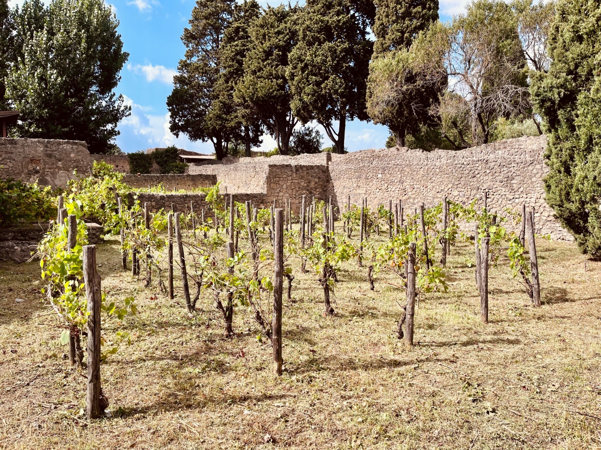 Oenogarum eli viinikastike antiikin Roomasta